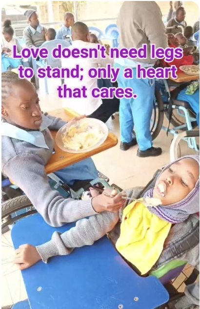 Love doesn't need legs to stand, only a heart that cares